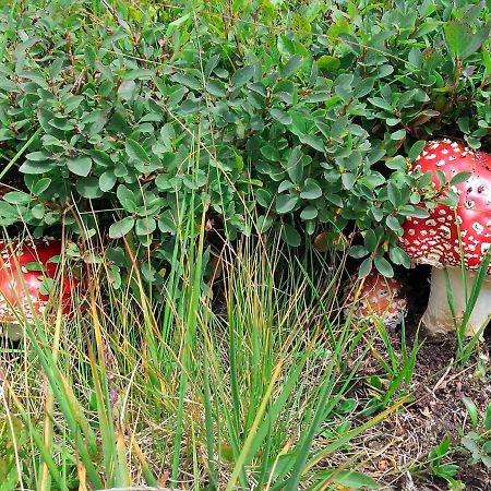 Le Balze Di Carisolo, Trilocale Con Giardino Apartman Kültér fotó